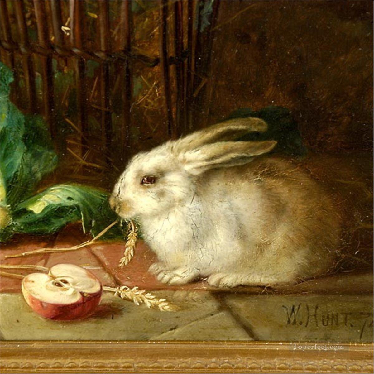 am192D animal rabbits Oil Paintings